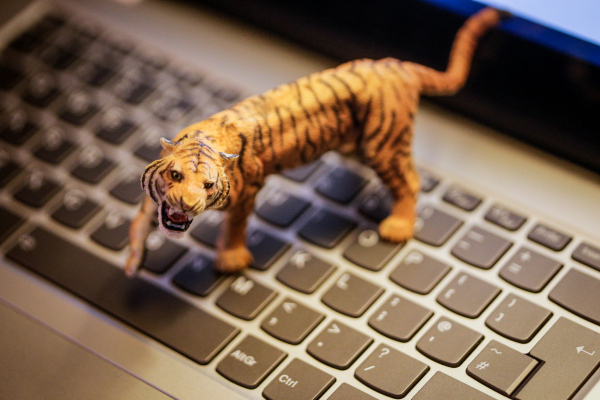 Emotional marketing and an e-mail titan walk into a bar