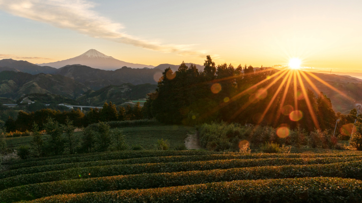 Rakuten and Beyond Next invest $1M seed funding in farm-to-table startup Secai Marche