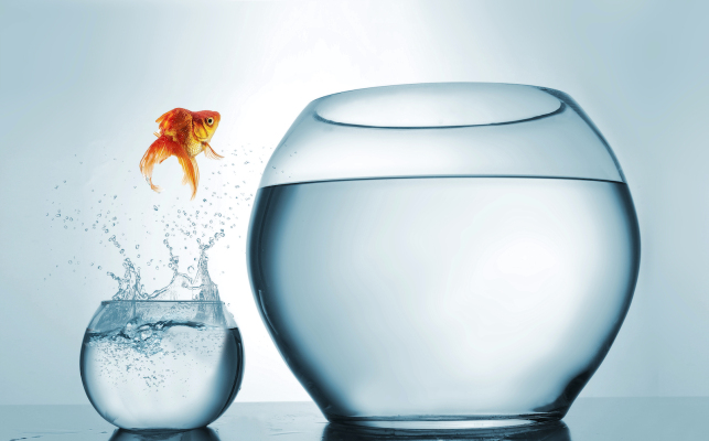How to win consulting, board and deal roles with PE and VC funds