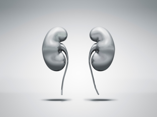 Mobile dialysis startup eyes human trials in 2022 following encouraging animal study