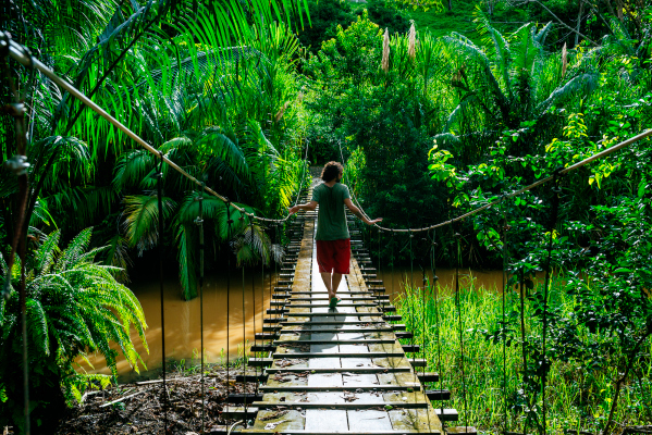 Dispense with the chasm? No way!