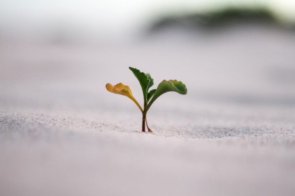 This week in growth marketing on TechCrunch