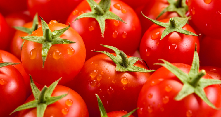 All eyes are on India’s brightest Zomato