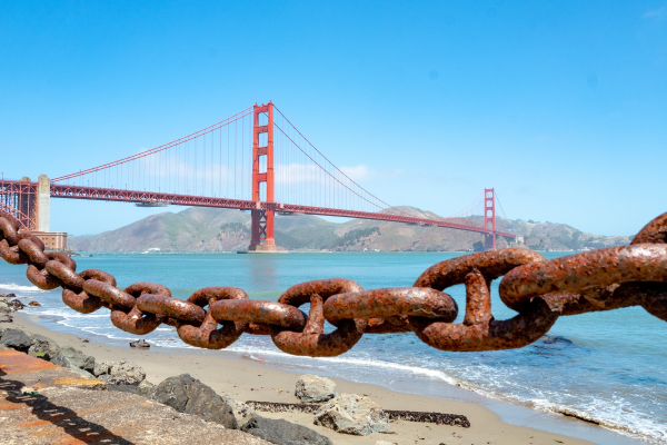 Extra Crunch roundup: Livestream e-commerce, growth marketing interviews, CEO for a day