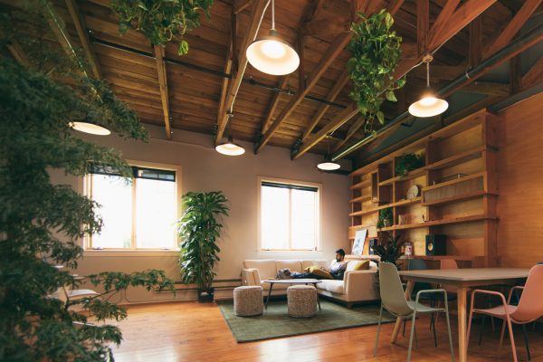 Substack acqui-hires team behind subscription social app Cocoon